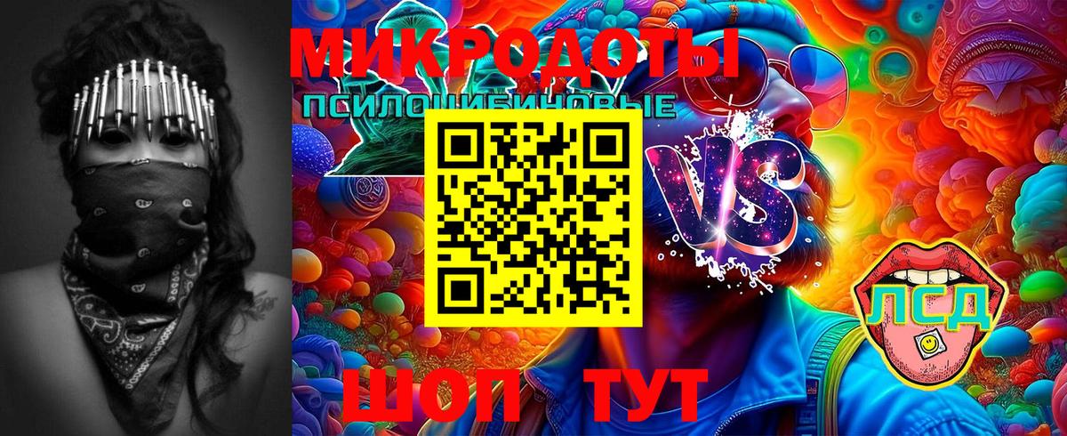 Псилоцибиновые грибы GOLDEN TEACHER Александров